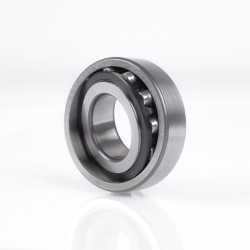 Cylindrical Roller Bearings